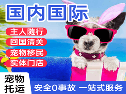 沧源佤山机场货运国际宠物托运 【国